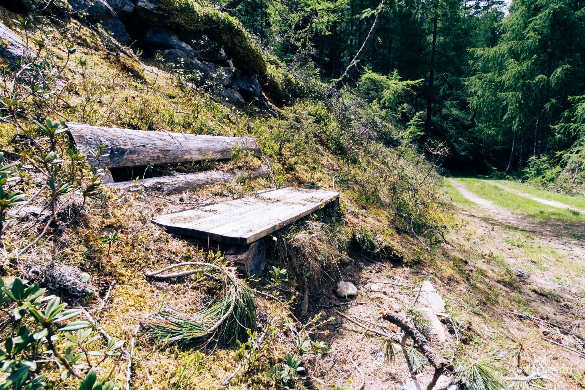 Bankerl am Wasserleitungsweg